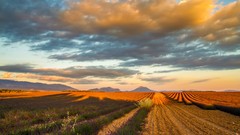 Landscapes nature sun