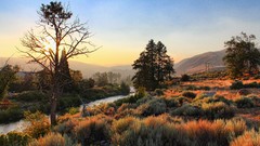 Landscapes nature sun