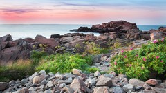 Landscapes nature sun