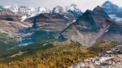 Landscapes nature sun