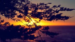 Landscapes nature sun