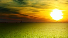 Landscapes nature sun fields