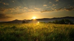 Landscapes nature sun fields