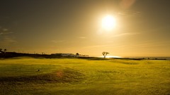 Landscapes nature sun fields