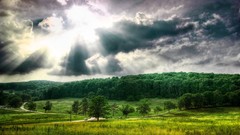 Landscapes nature sun Trees