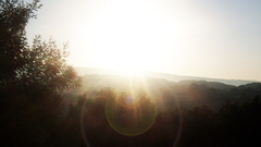 Landscapes nature sun Trees