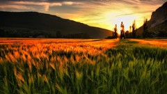 Landscapes nature sunlight HDR