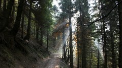 Landscapes nature sunlight landmark forests