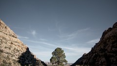 Landscapes nature sunlight skies