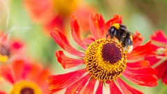 Landscapes nature sunlight skies