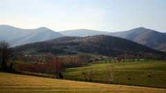 Landscapes nature sunlight skies