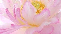 Landscapes nature sunlight skies