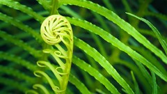 Landscapes nature sunlight skies