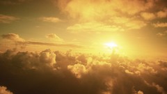 Landscapes nature sunny