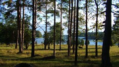 Landscapes nature sweden