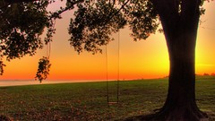 Landscapes nature swings