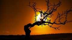 Landscapes nature ten