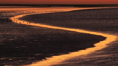 Landscapes nature The Netherlands