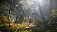 Landscapes nature the witcher forests