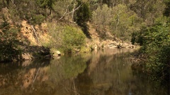 Landscapes nature Trees