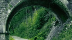 Landscapes nature Trees