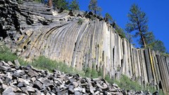 Landscapes nature Trees