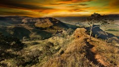 Landscapes nature Trees