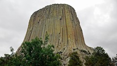 Landscapes nature Trees