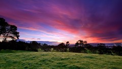 Landscapes nature Trees