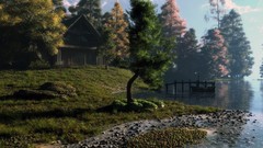 Landscapes nature Trees