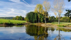 Landscapes nature Trees