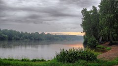 Landscapes nature Trees
