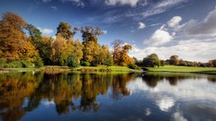 Landscapes nature Trees