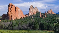 Landscapes nature Trees