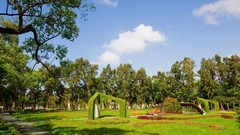 Landscapes nature Trees