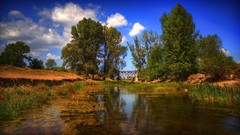 Landscapes nature Trees