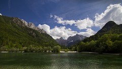 Landscapes nature Trees