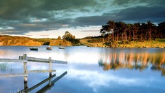 Landscapes nature Trees