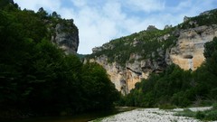 Landscapes nature Trees