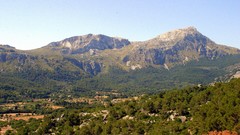 Landscapes nature Trees