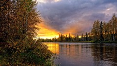 Landscapes nature Trees