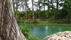 Landscapes nature Trees