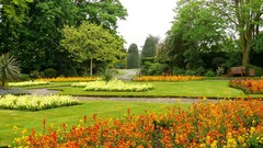 Landscapes nature Trees