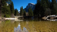 Landscapes nature Trees