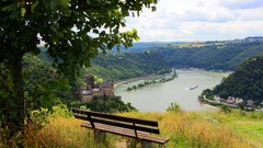 Landscapes nature Trees