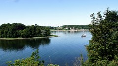 Landscapes nature Trees