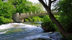 Landscapes nature Trees