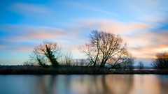 Landscapes nature Trees
