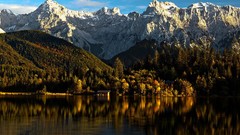 Landscapes nature Trees