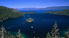 Landscapes nature Trees